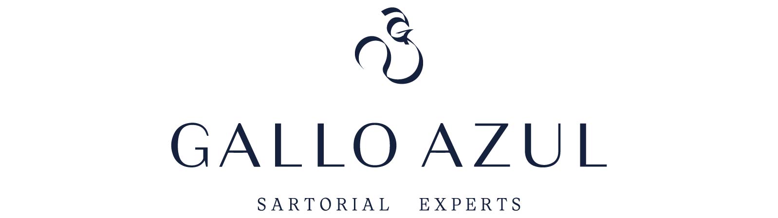 Logotipos-Sitio web-TA2025-H-06